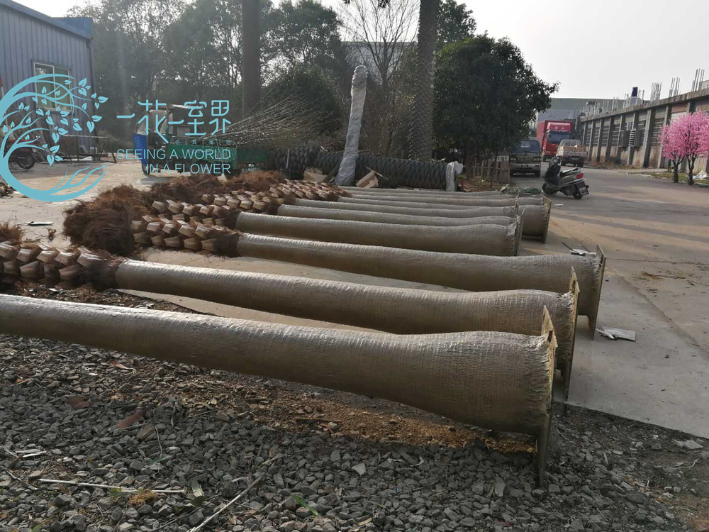 微信图片_20180129151301.jpg