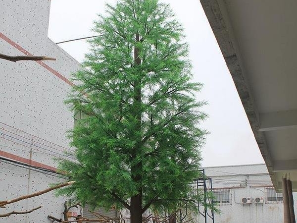 仿真落羽杉树