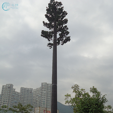深圳盐田港的35米基站松树2.jpg