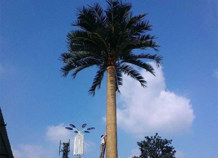信号基站仿真椰子树
