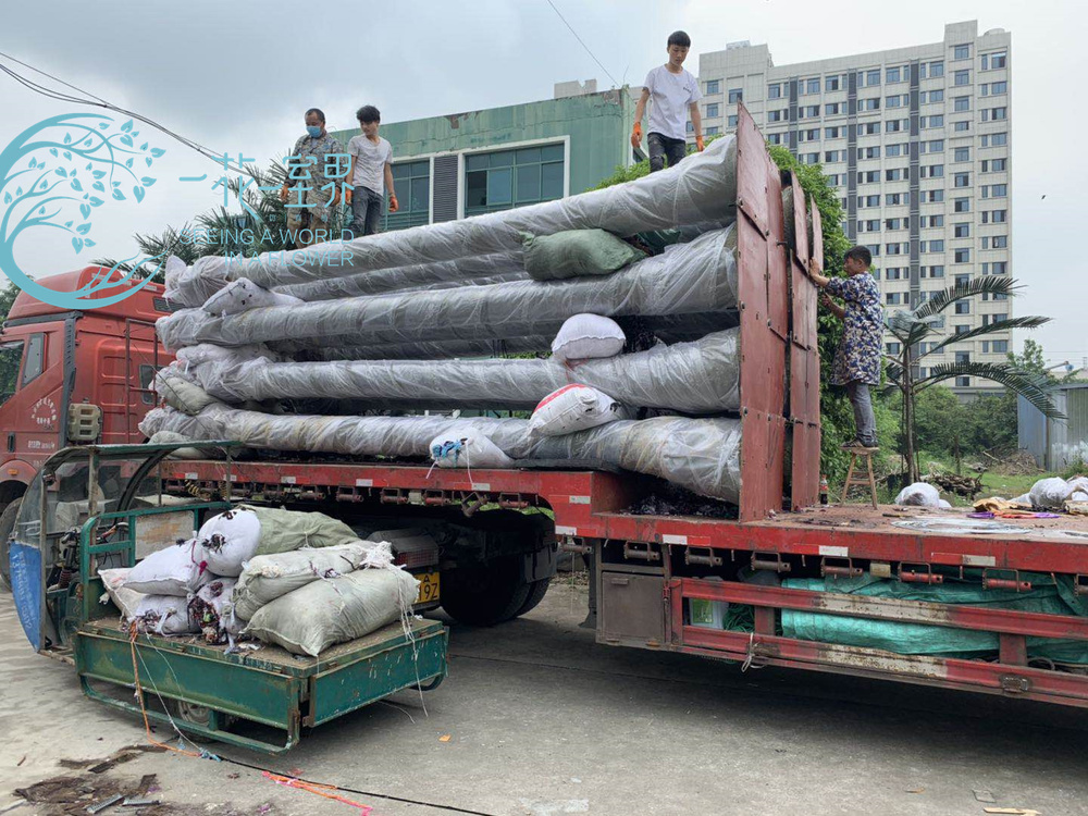 微信图片_20190520140946.jpg