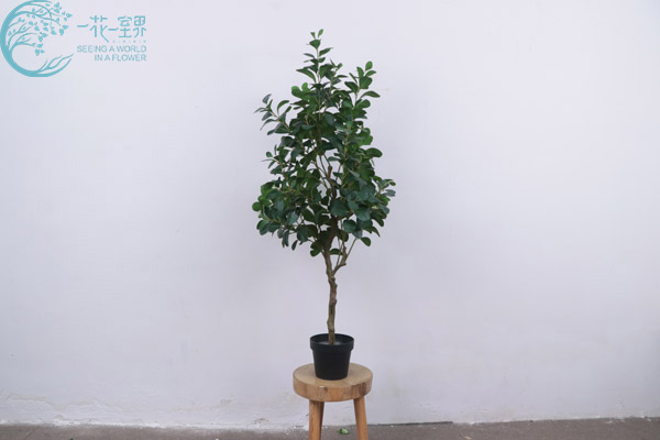仿真幸福树.jpg