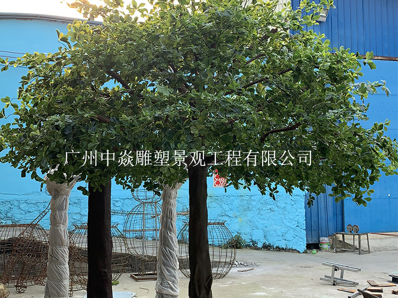 榕树01.jpg