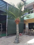 仿真戶外椰子樹
