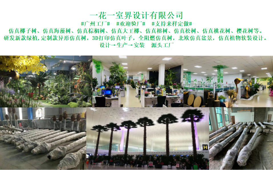 大图2.png