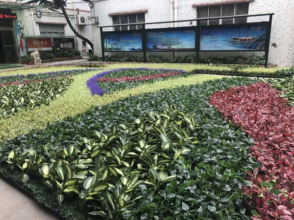 QQ图片20180807101829.jpg