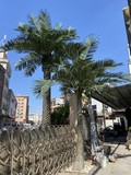 仿真海藻树