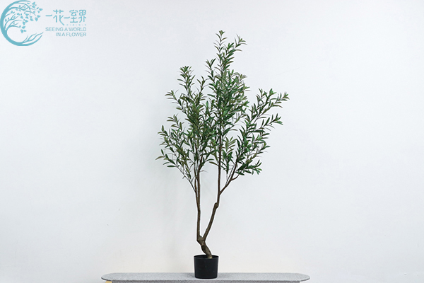 寓意非同一般的仿真橄榄树
