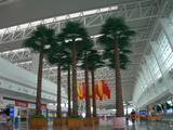 仿真机场棕榈树