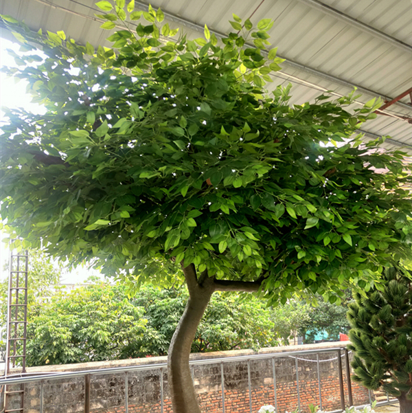 室外大型仿真树
