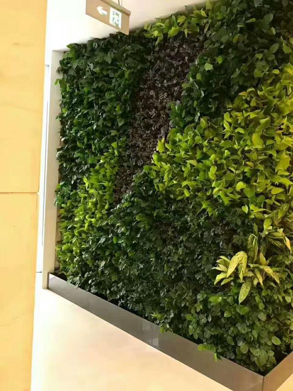 微信图片_20170720090941.jpg