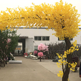 黄色桃花树