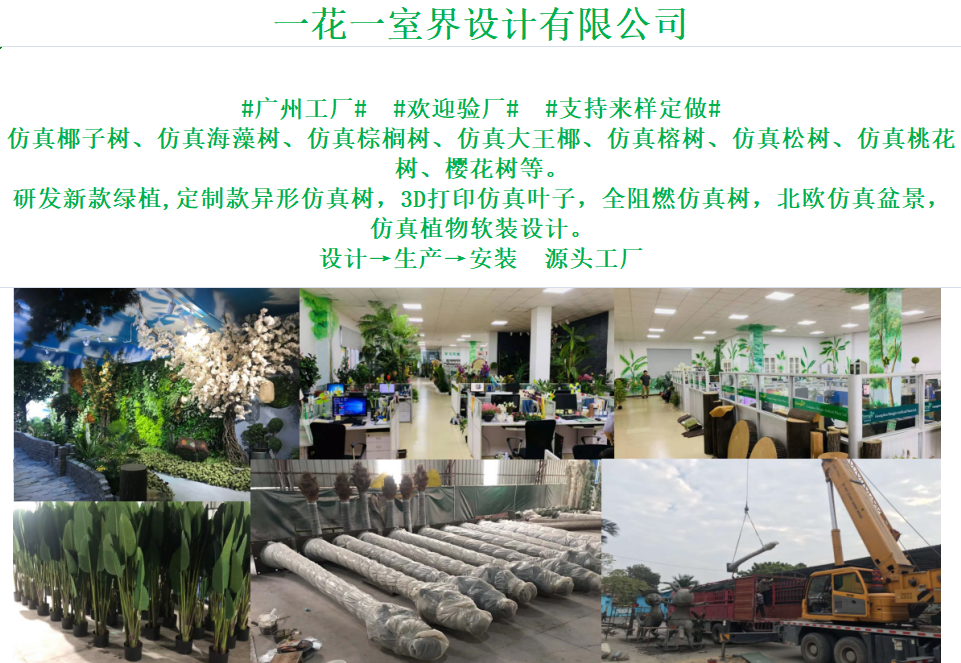 大图20.png