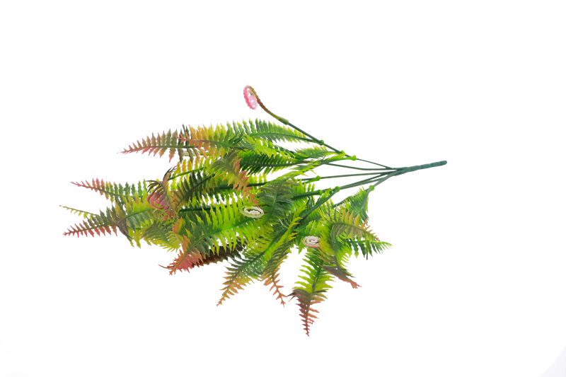水草编码：160019846.png